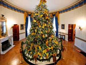 The 2012 White House tree in the Blue Room.