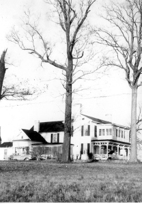 Coffin's House, with part of the oak grove, circa 1940.